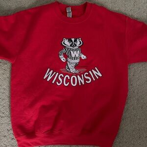 University of Wisconsin Sweatshirt
